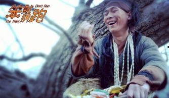 笨贼别跑,一场啼笑皆非的追逐战